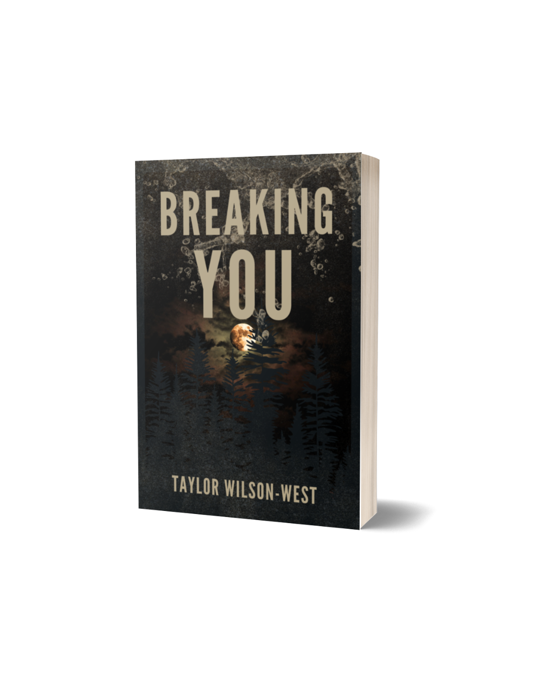 Breaking You